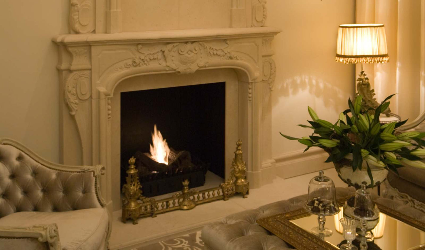 EcoSmart Fire - BK5 - Ethanol Burner - Stainless Steel