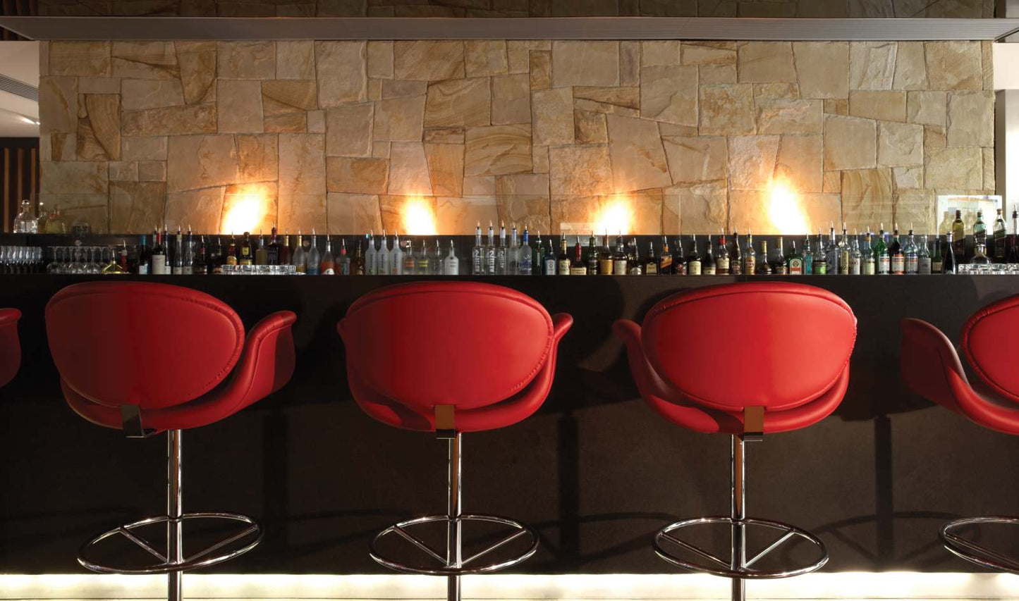 EcoSmart Fire - BK5 - Ethanol Burner - Stainless Steel